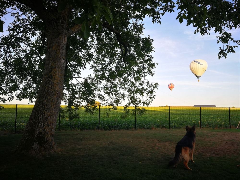 Villa/maison/ferme à MEHAIGNE (3 chambres)