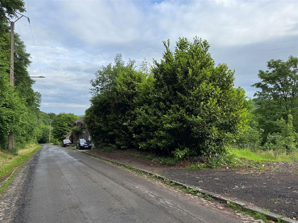 Terrain à RIVIÈRE (0 chambre)