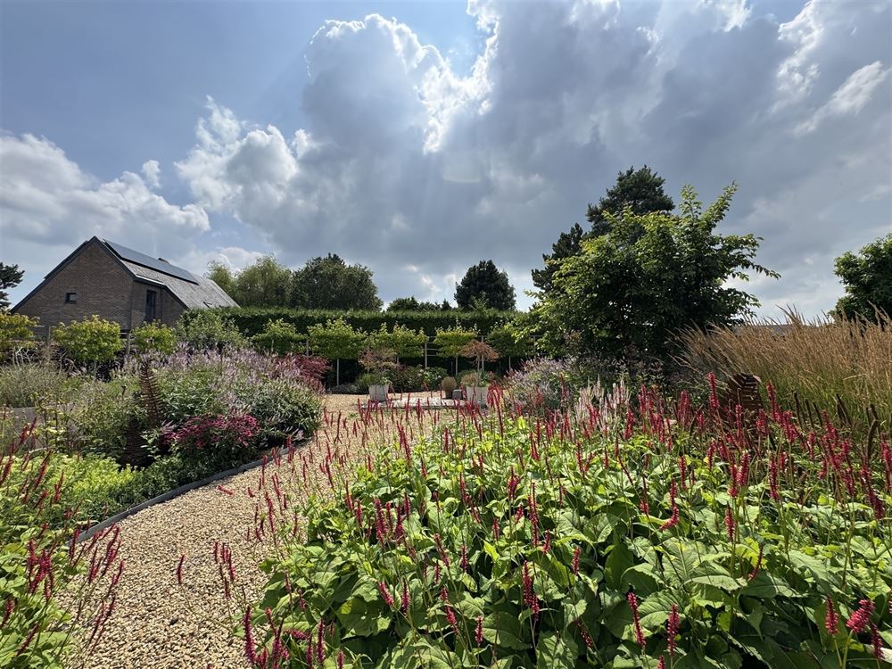 Villa/maison/ferme à BOIS-DE-VILLERS (6 chambres)