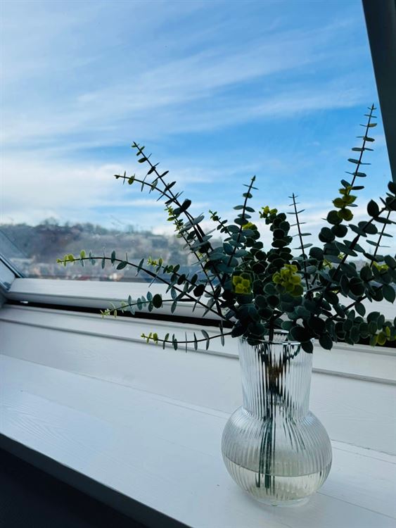 Appartement à JAMBES (1 chambre)