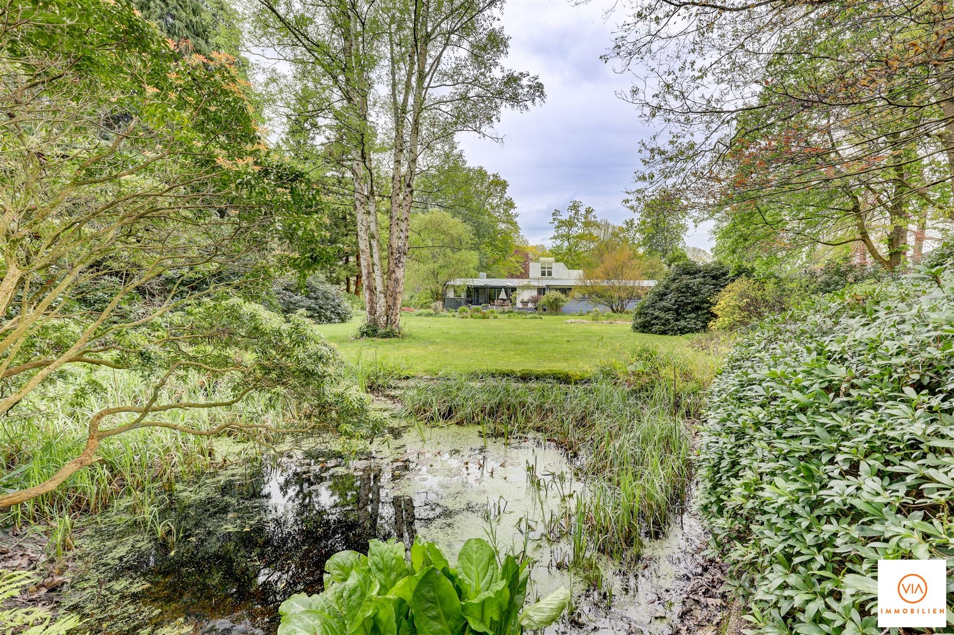 Lichtvolle verassende villa op 4953 m² grond