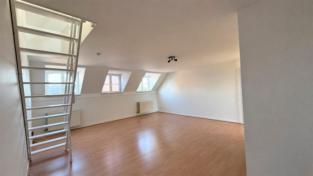 Dakappartement met zeer ruim terras