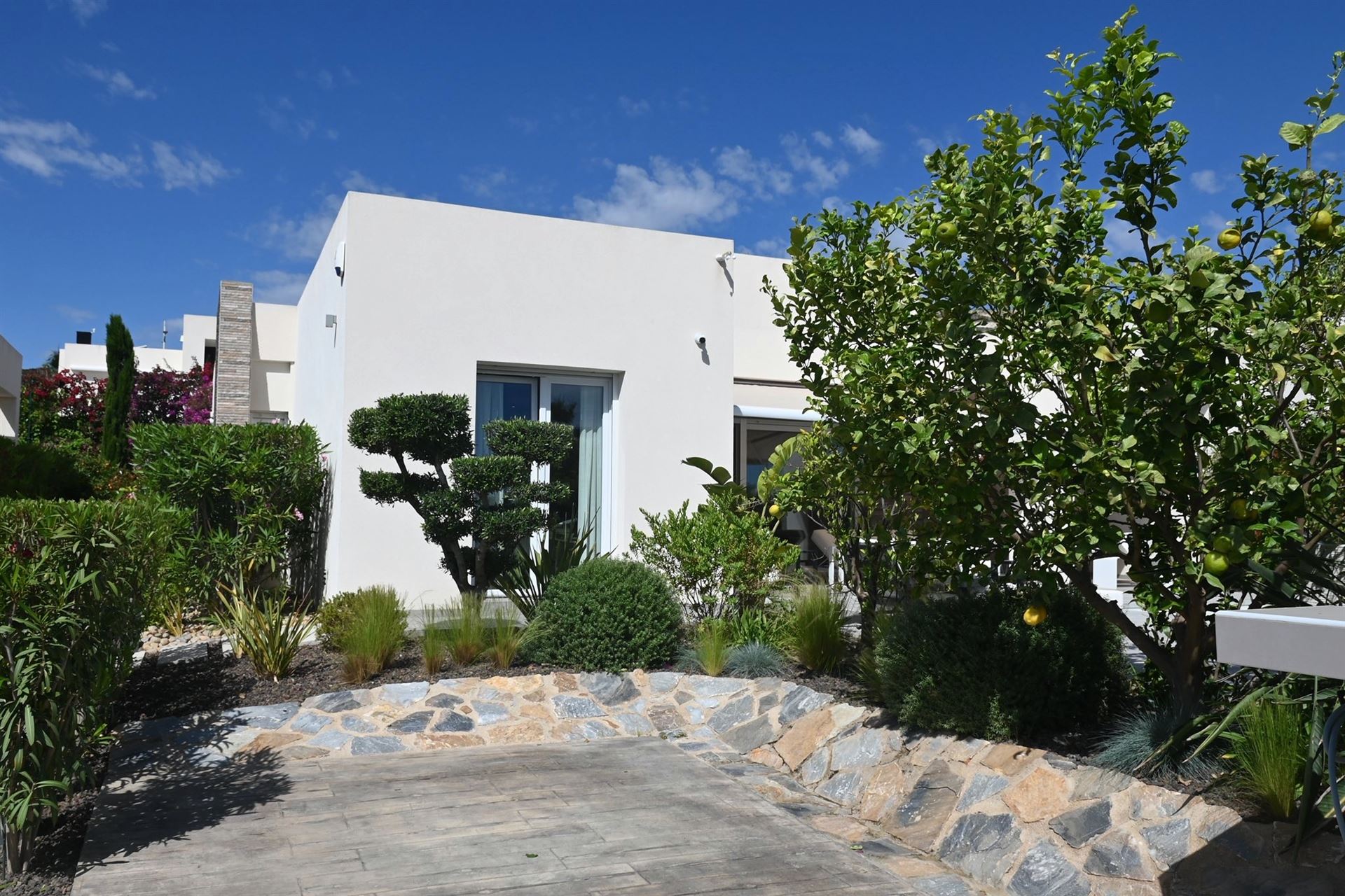 Afbeelding 3