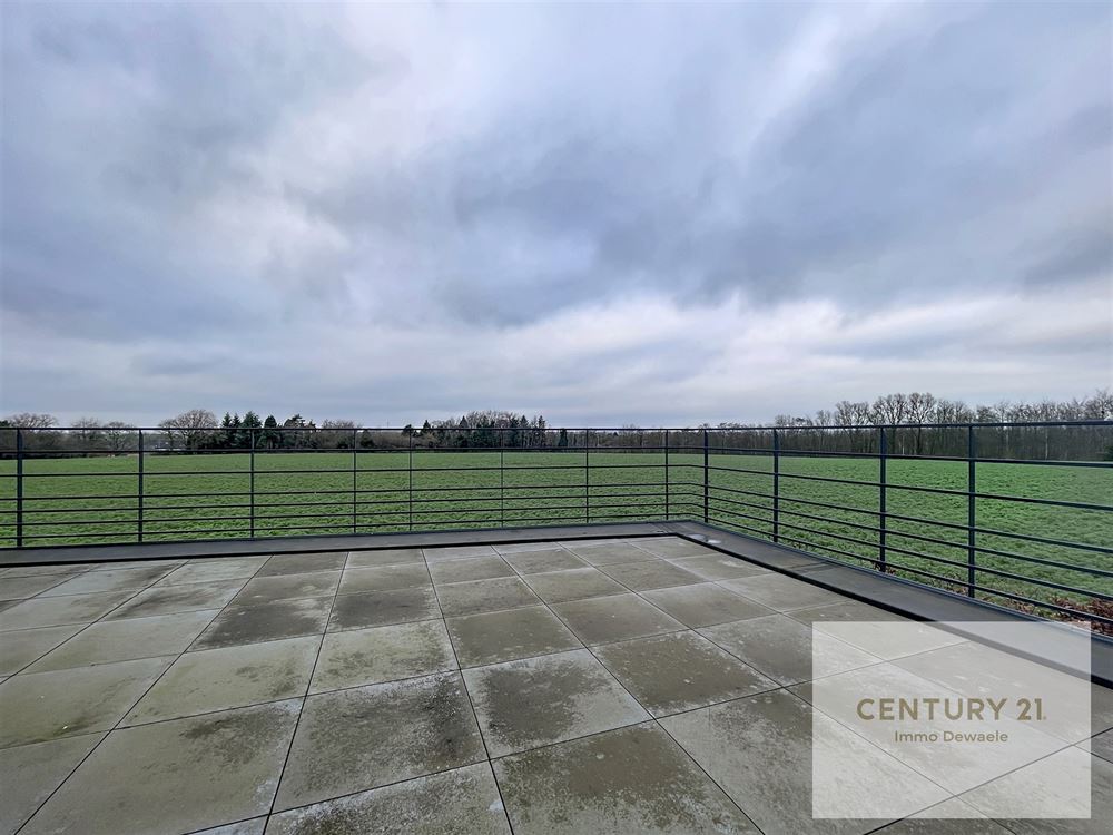 Image 11 : Bureaux (Surface de) à 6230 PONT-À-CELLES (Belgique) - Prix 1.250 &euro;