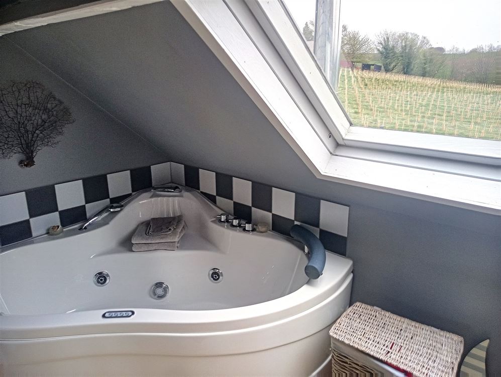 Image 16 : Villa IN 1460 ITTRE (Belgium) - Price 1.550 &euro;